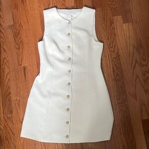 NWT Wilfred button down dress